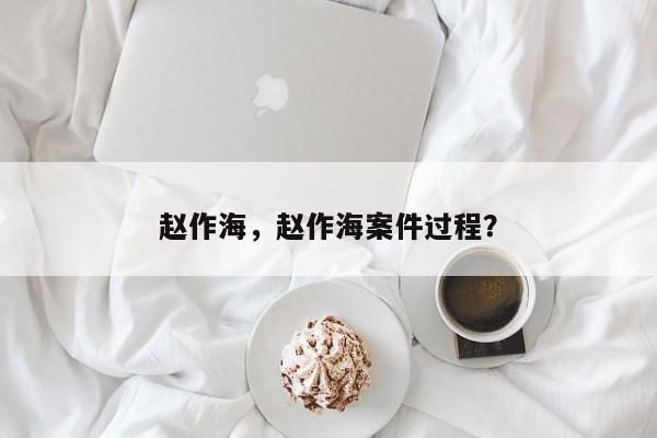 赵作海，赵作海案件过程？