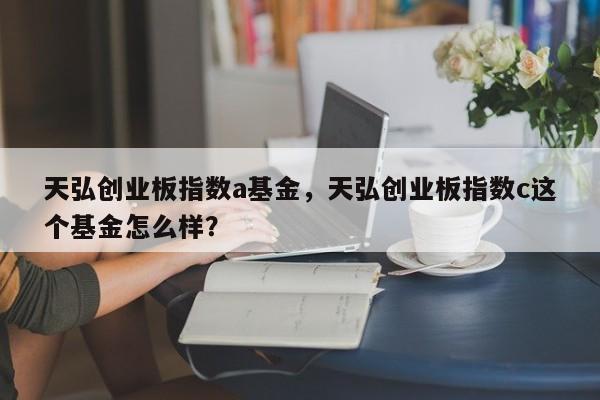 天弘创业板指数a基金，天弘创业板指数c这个基金怎么样？