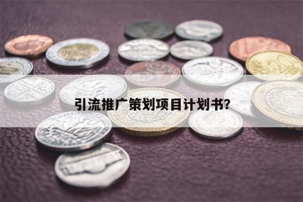 引流推广策划项目计划书？