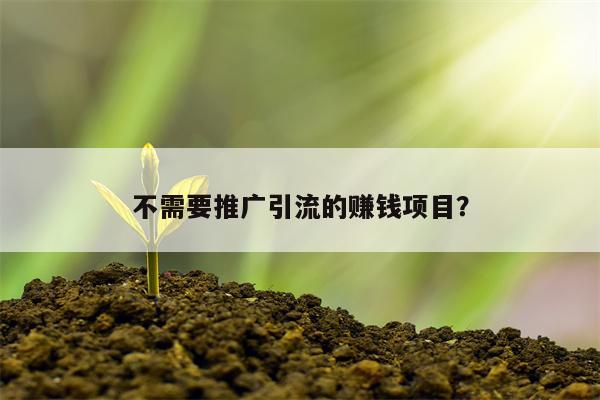 不需要推广引流的赚钱项目？